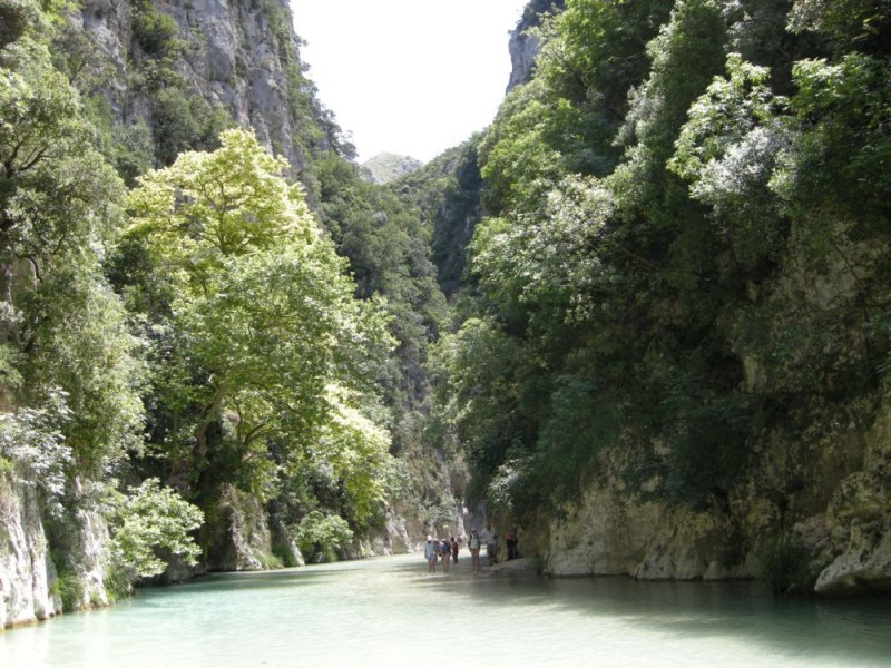 DSCN0338.JPG