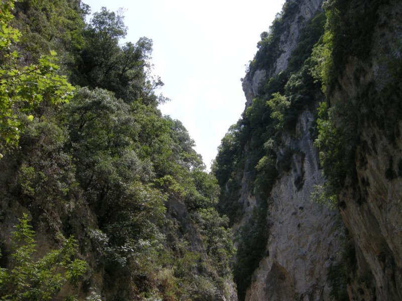DSCN0339.JPG