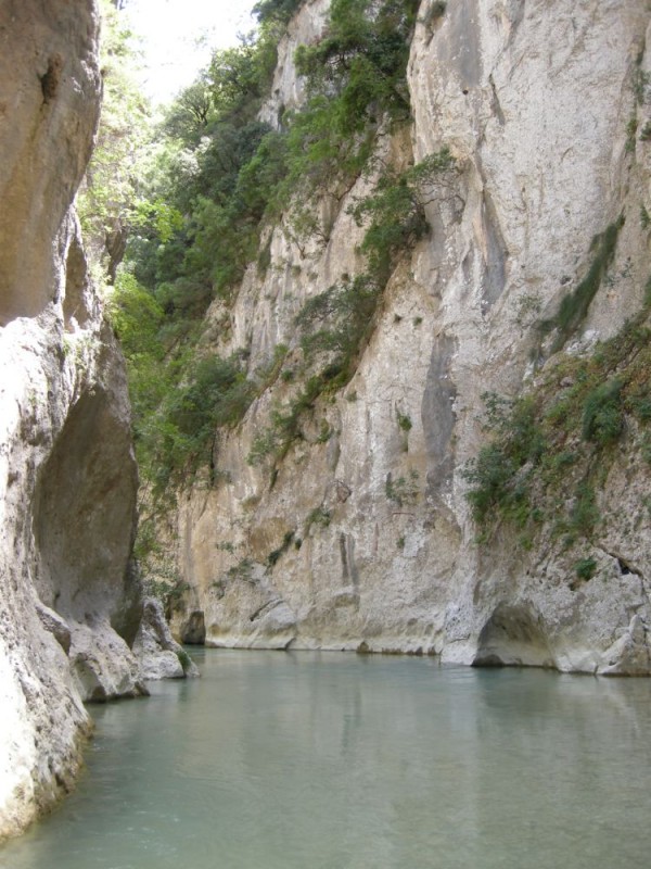 DSCN0340.JPG