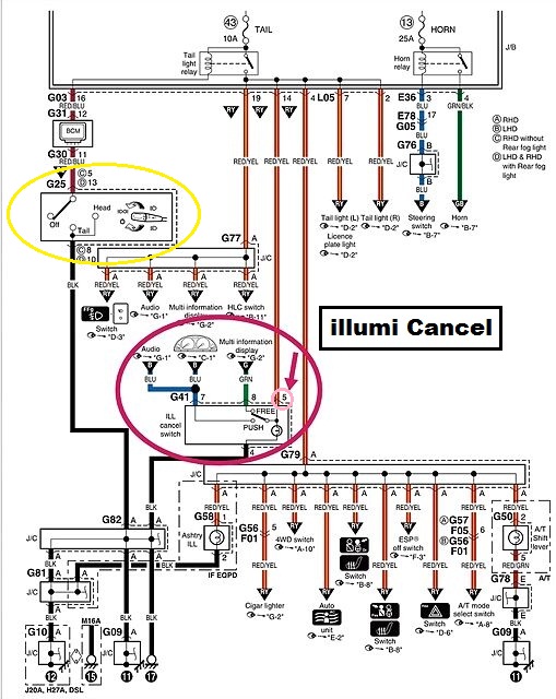 Illumi_cancel_esquema.jpg