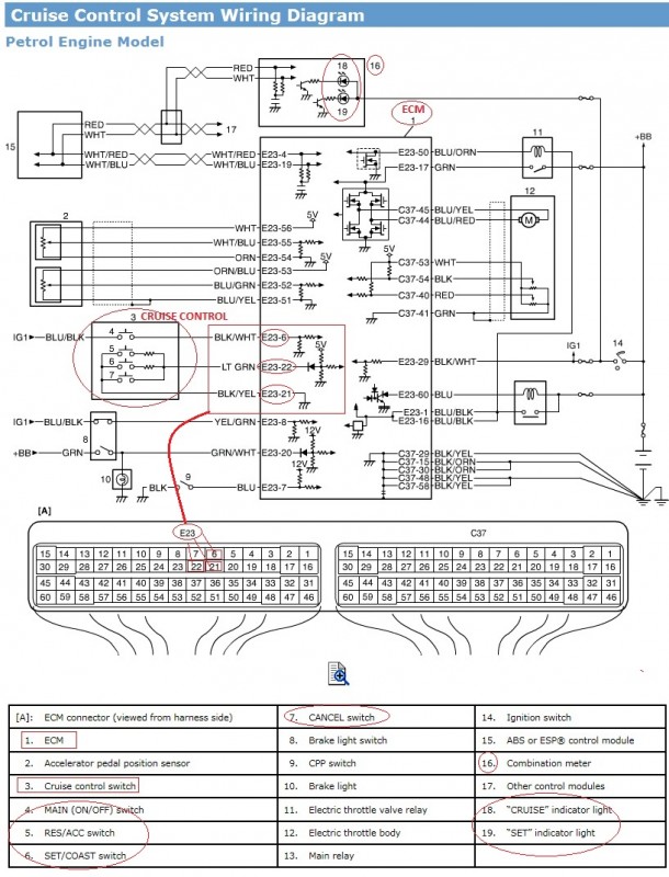 Cruise_Control_Gasoline_Suzuki_Grand_Vitara_2.0_Type_2008.jpg