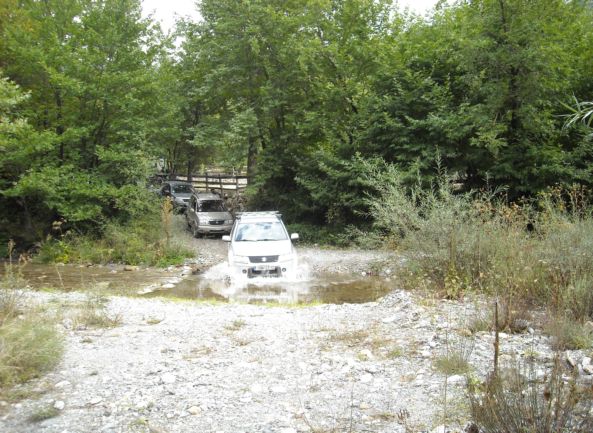 050.JPG