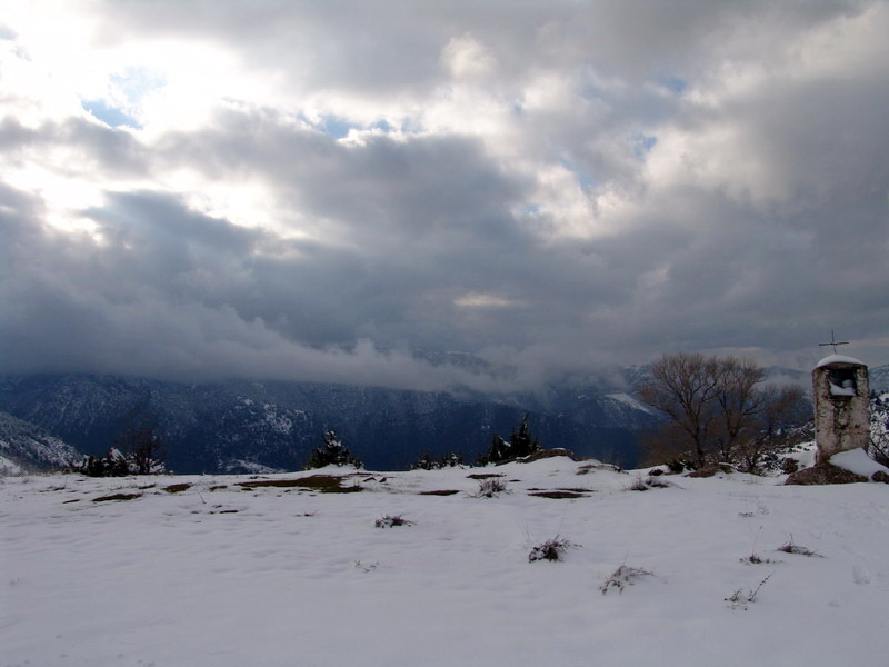 DSC00390.jpg