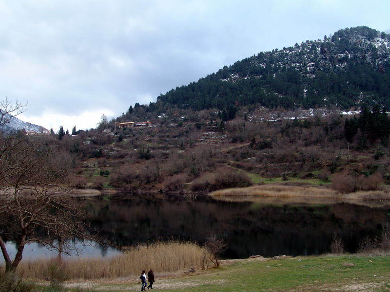 DSC00423.jpg