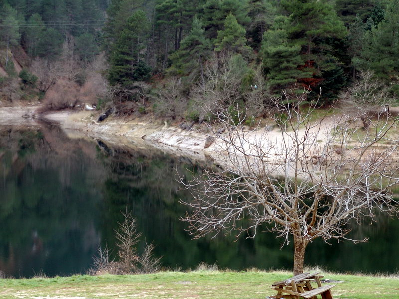 DSC00430.jpg