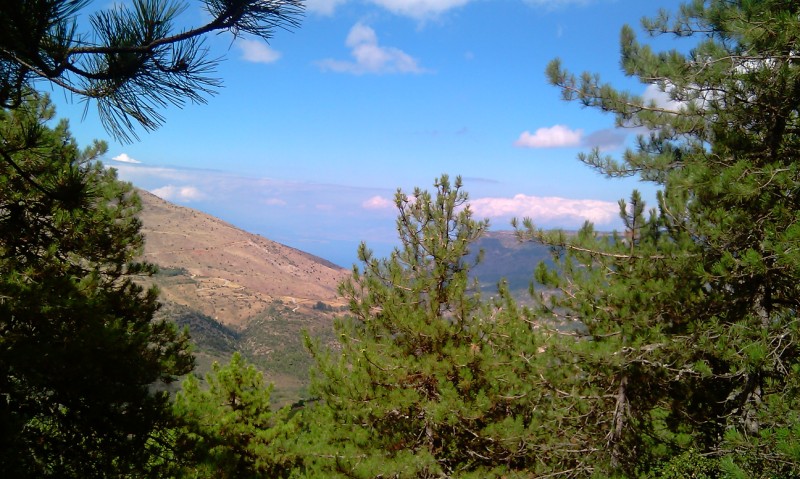 IMAG0169.jpg