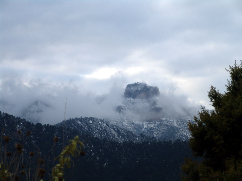 DSC00405.jpg