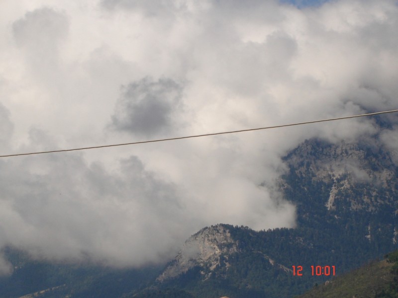DSC07493.JPG