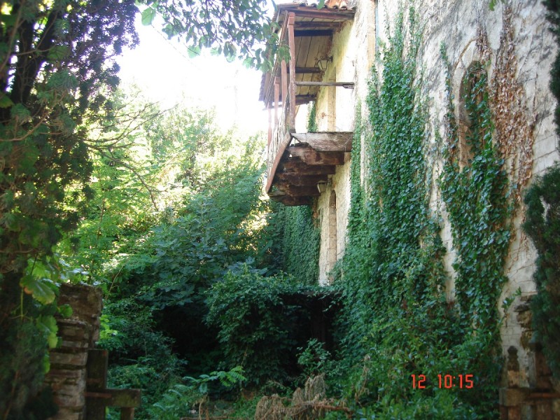 DSC07495.JPG