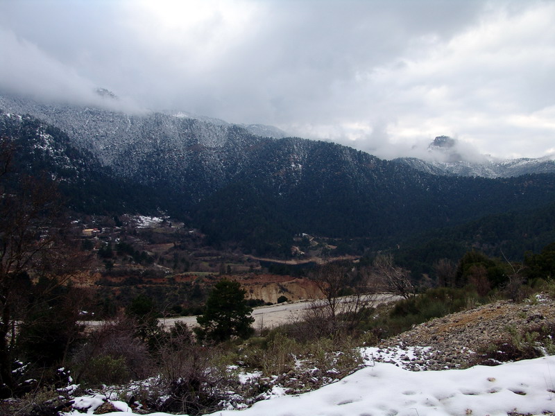 DSC00403.jpg