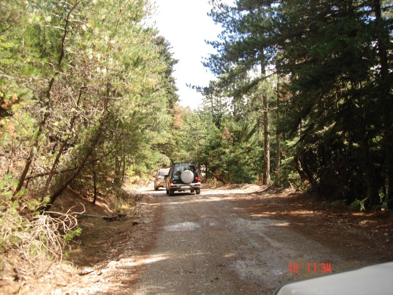 DSC07507.JPG