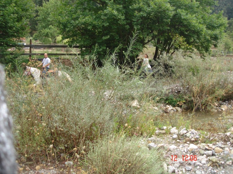 DSC07512.JPG