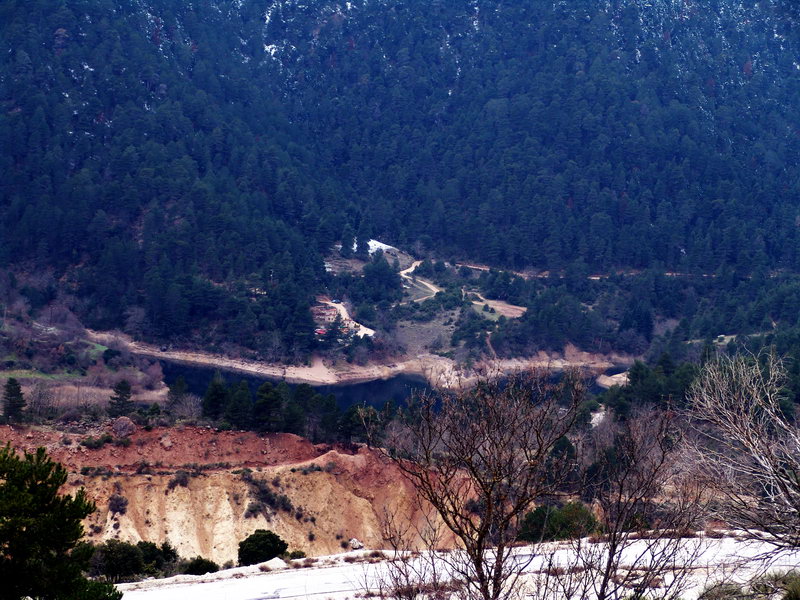 DSC00401.jpg