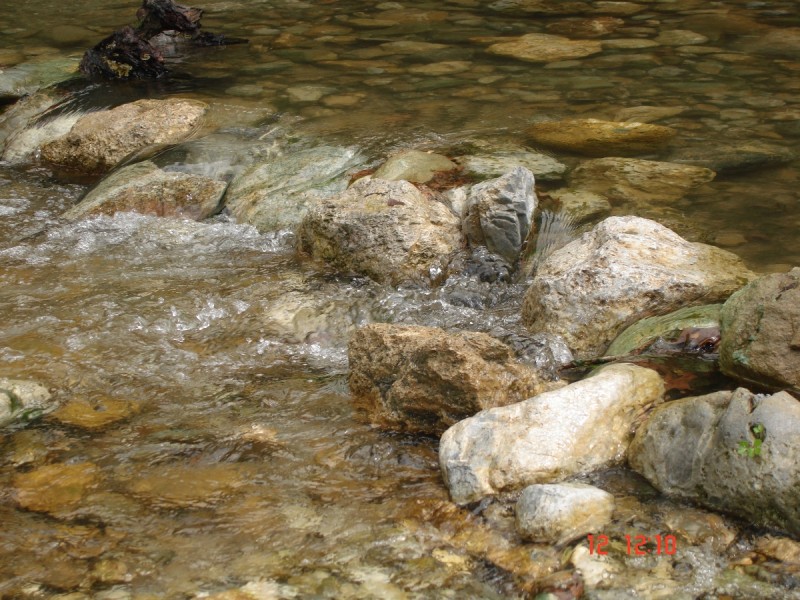 DSC07521.JPG