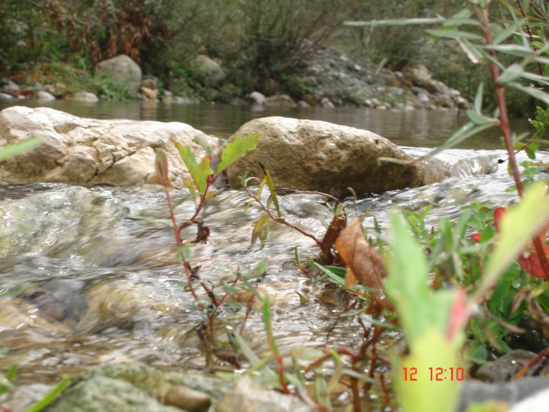 DSC07522.JPG