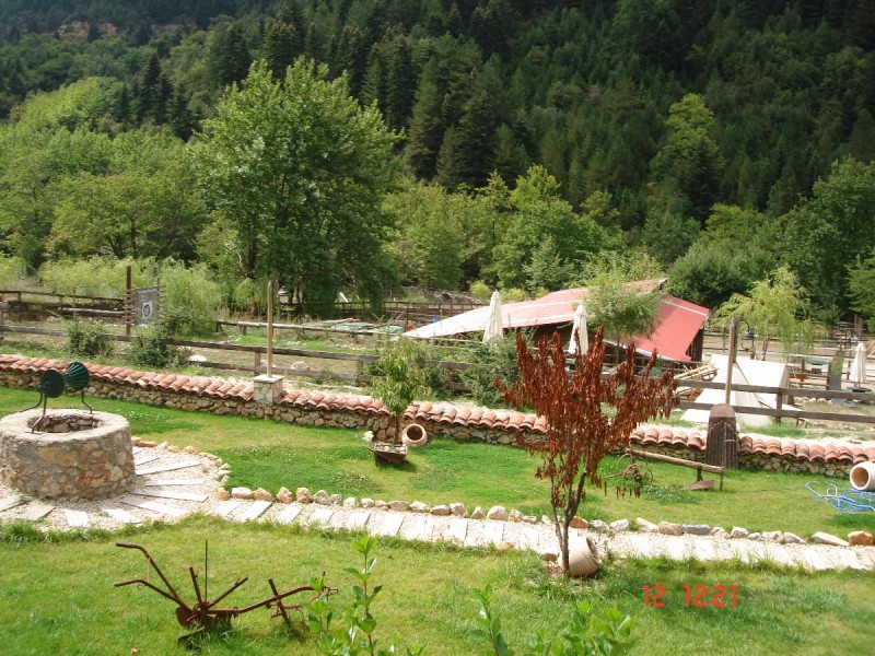 DSC07541.JPG