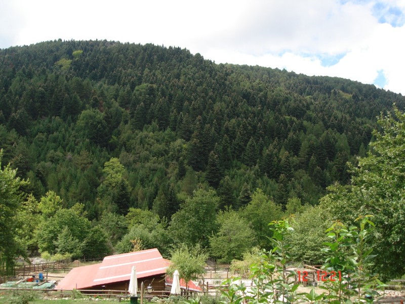 DSC07542.JPG