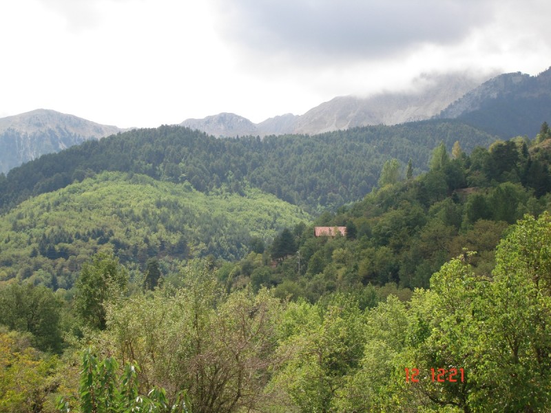 DSC07543.JPG