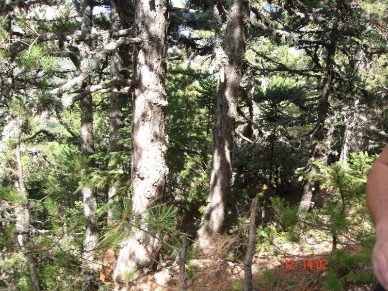 DSC07556.JPG