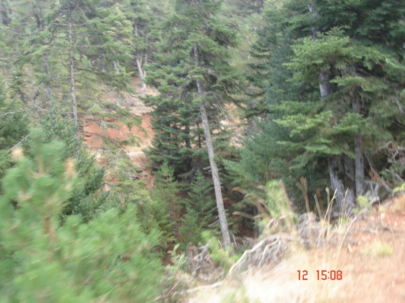 DSC07564.JPG
