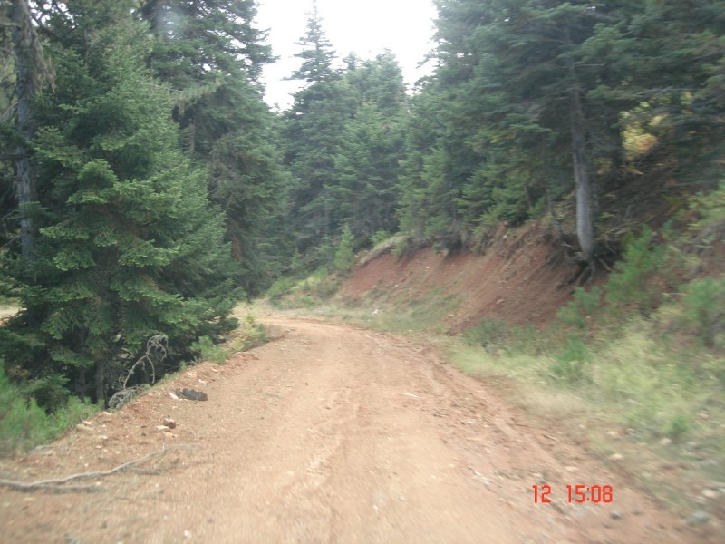DSC07565.JPG