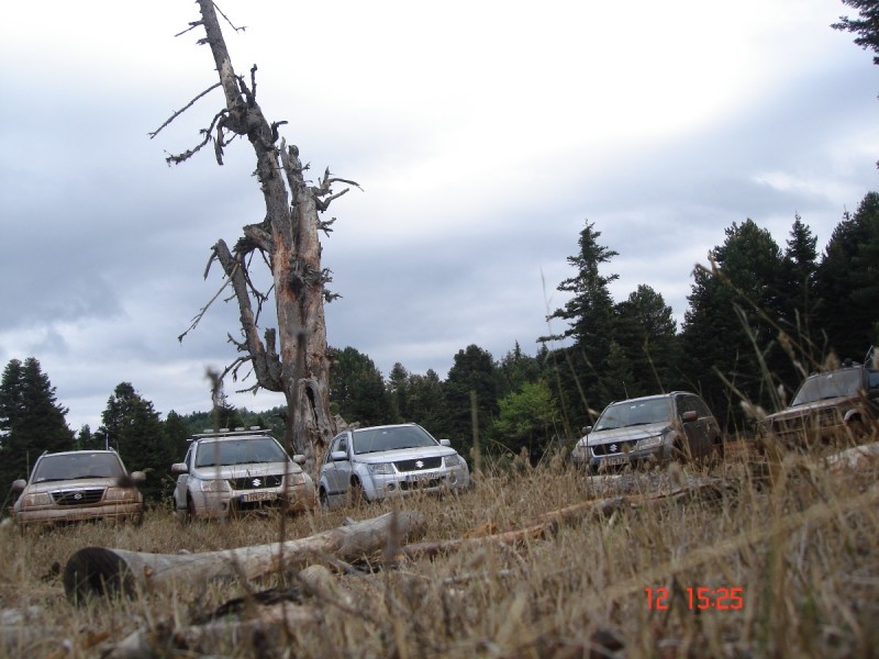 DSC07579.JPG