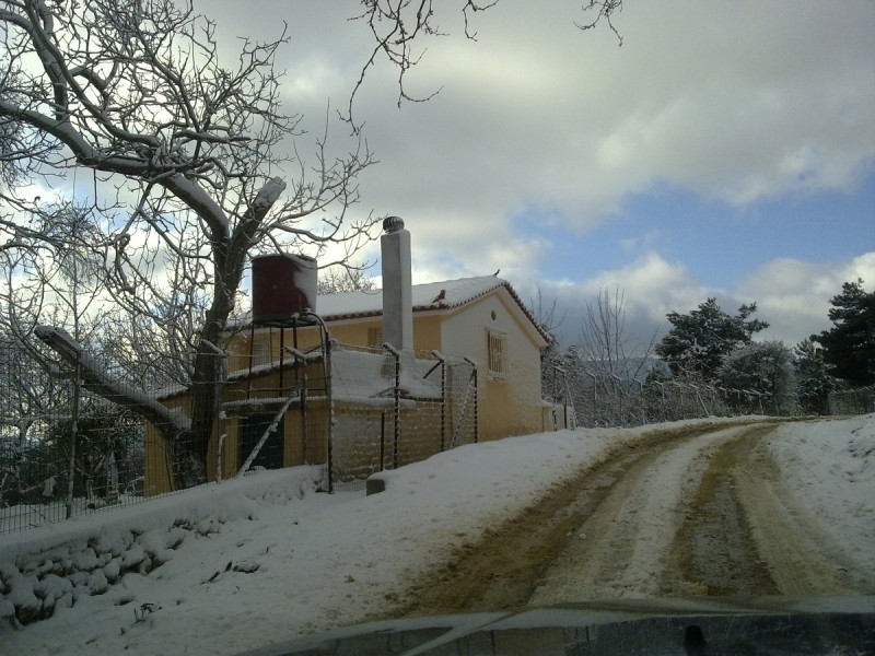 Image00002.jpg