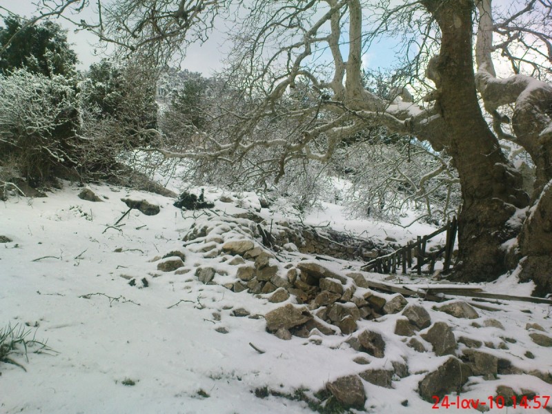 Image00005.jpg