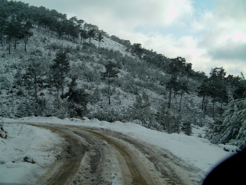 Image00011.jpg