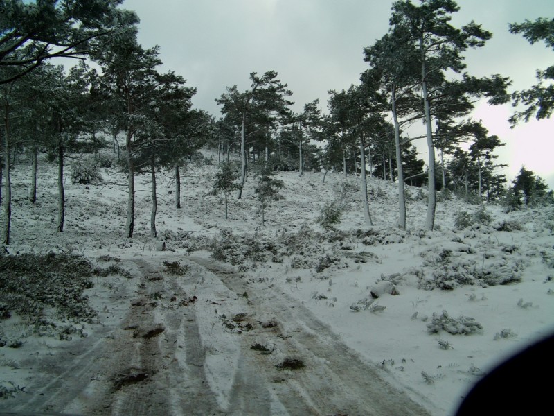 Image00012.jpg