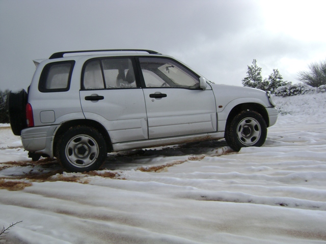 drosopygh xionia 004.jpg
