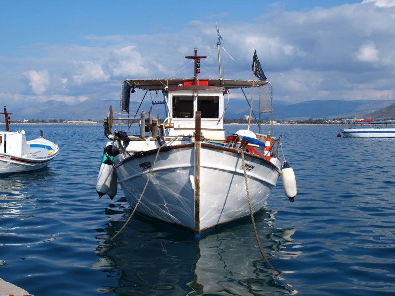 p1246748-web.jpg