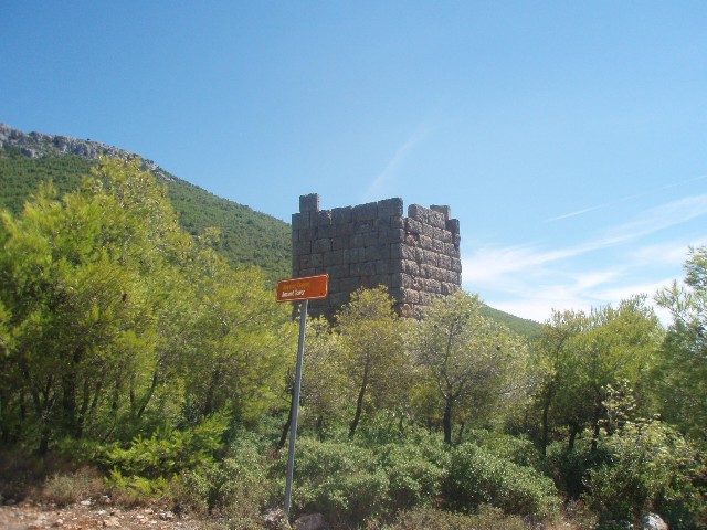 P9190568.JPG