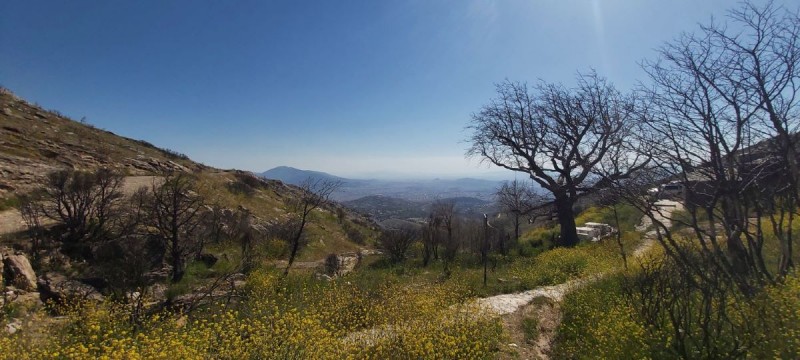 20250504_164727.1.jpg