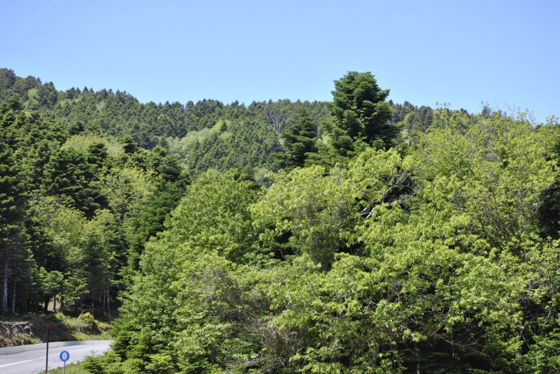 _DSC2082.jpg