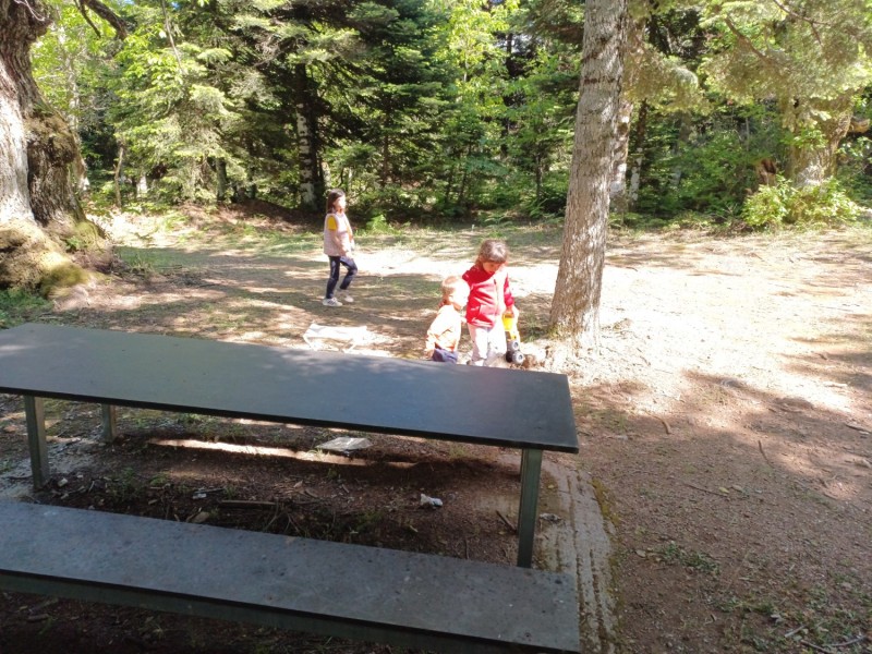 20250518_162158.jpg
