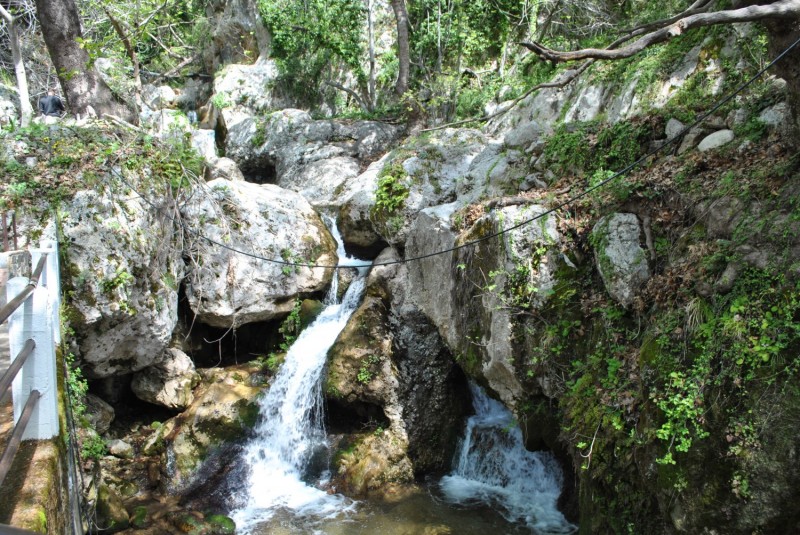 DSC_2041.jpg