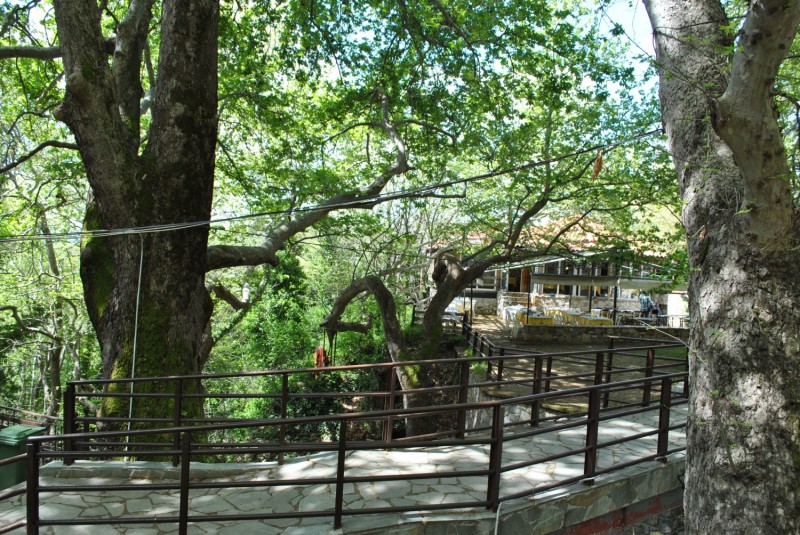 DSC_2044.jpg