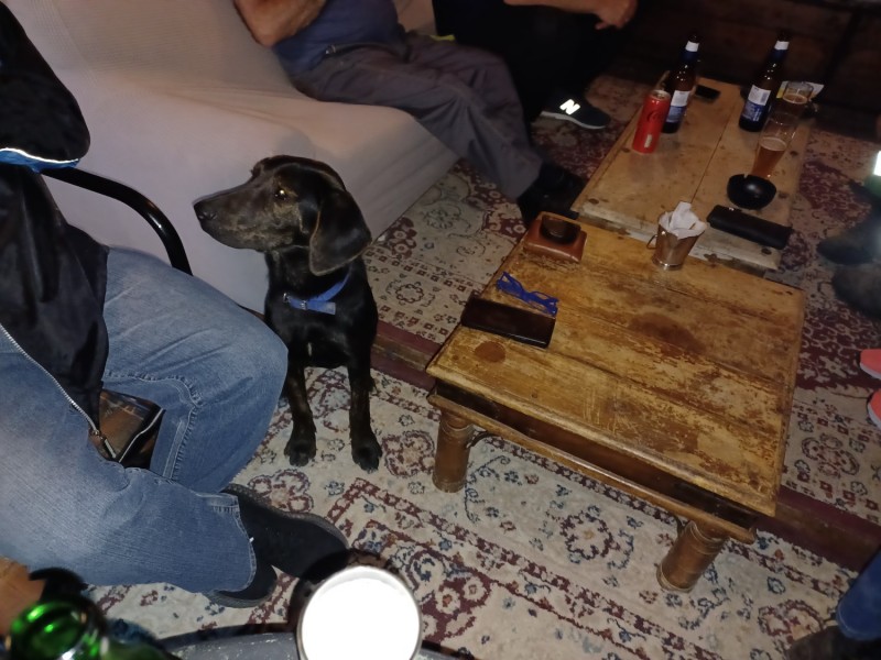 20250528_213402.jpg