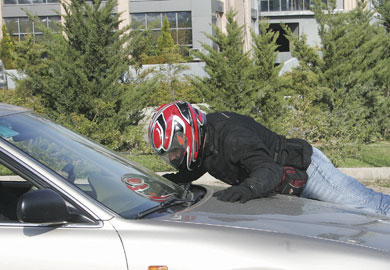 asf01.jpg