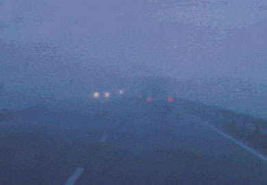 asf04.jpg