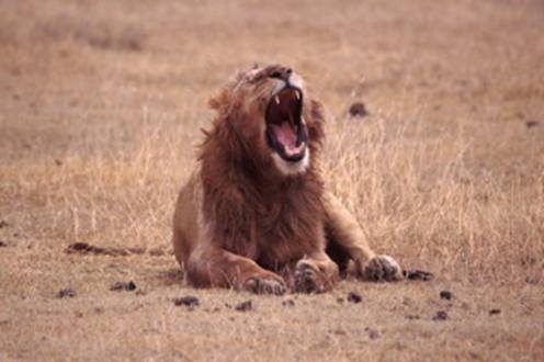 image003.jpg