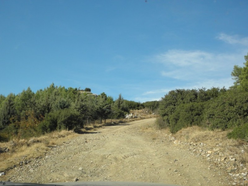 P9280009.jpg