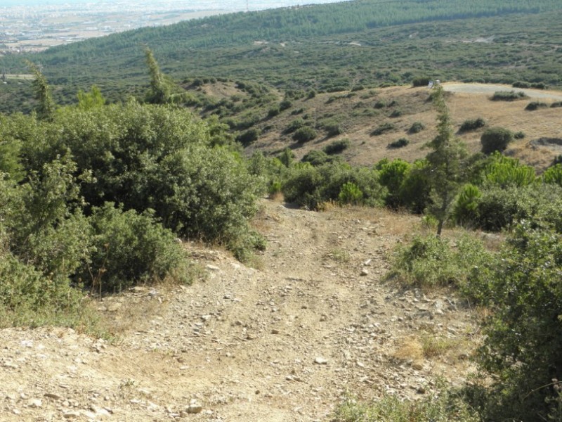 P9280010.jpg