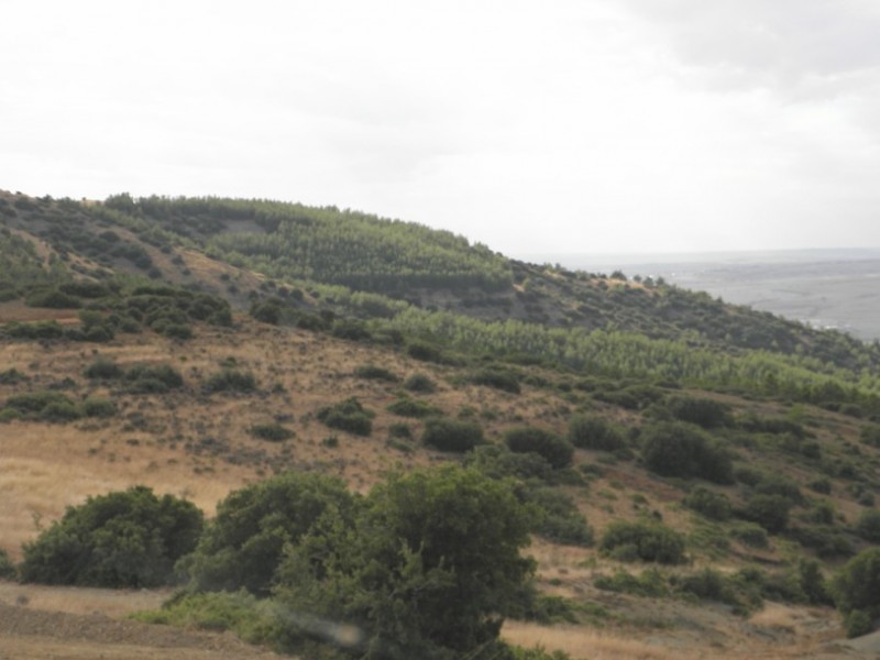 P9280016.jpg