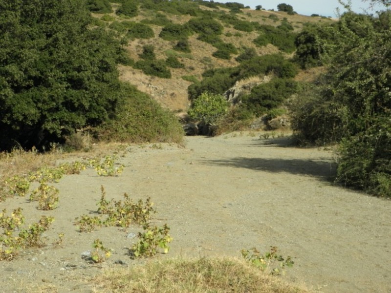 P9280018.jpg