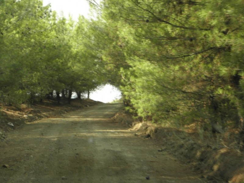 P9280022.jpg