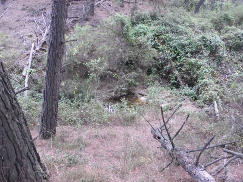 P9280026.jpg