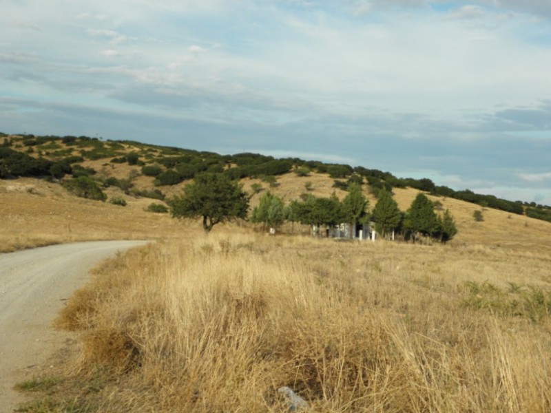 P9280048.jpg
