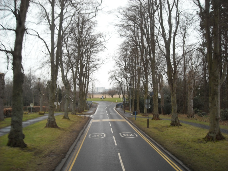 DSCN0219.JPG